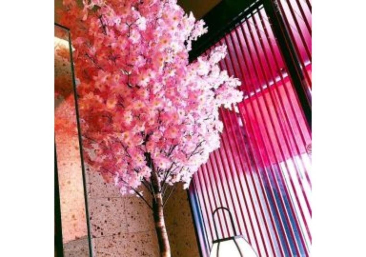 Sakura Sky Hotel - Vacation Stay 18444V Tóquio Exterior foto